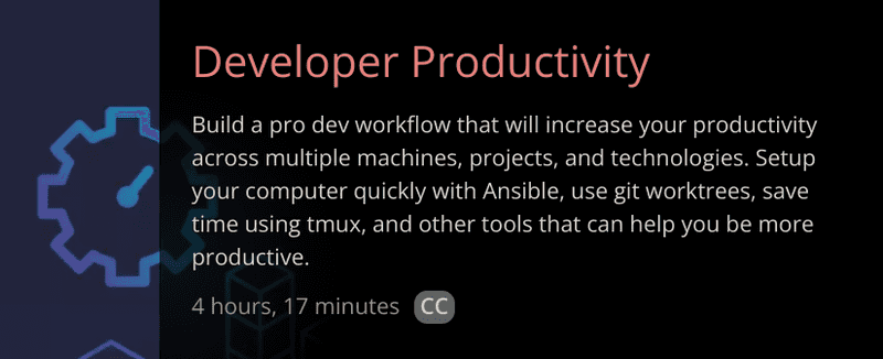 Developer Productivity